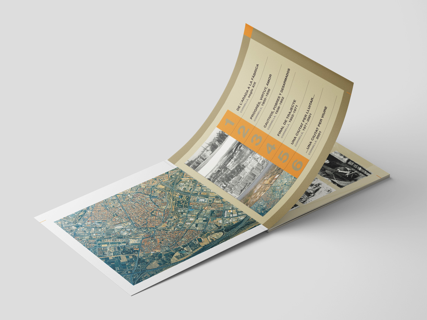 libro-cornella-estimada-memoria